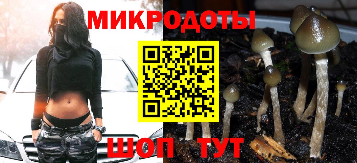 Галлюциногенные грибы MAGIC MUSHROOMS Гатчина